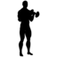 Curl alla Zottman